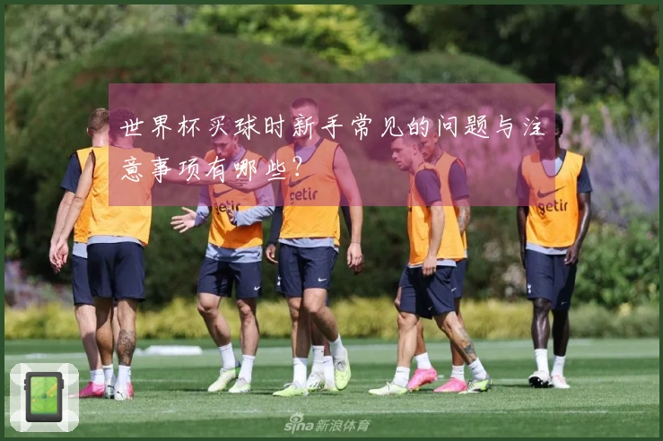 世界杯买球时新手常见的问题与注意事项有哪些？