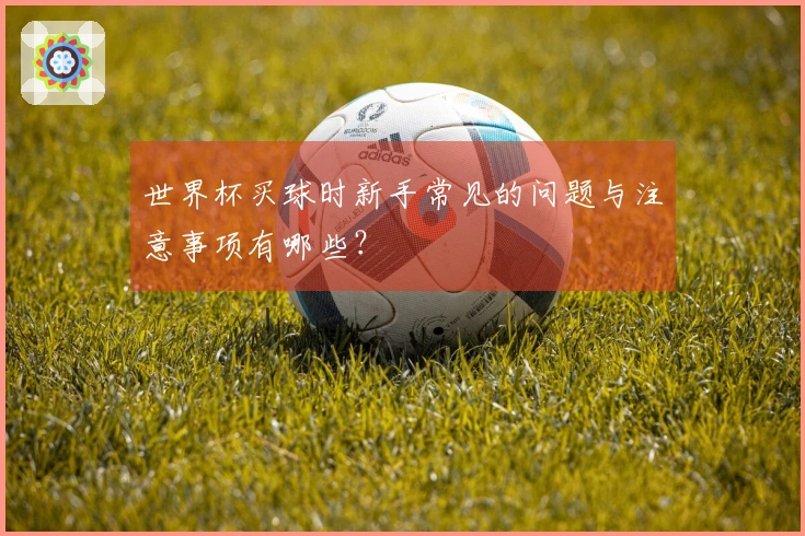 世界杯买球时新手常见的问题与注意事项有哪些？
