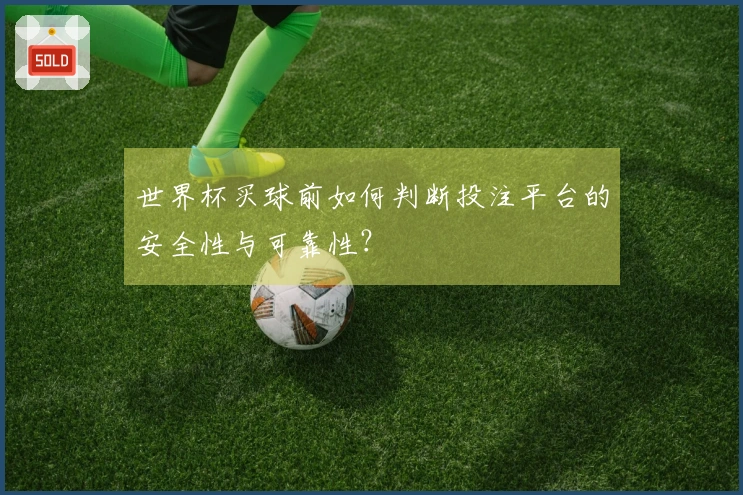 世界杯买球前如何判断投注平台的安全性与可靠性？