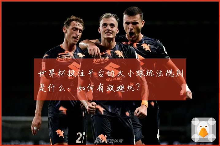 世界杯投注平台的大小球玩法规则是什么，如何有效避坑？